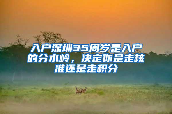 入户深圳35周岁是入户的分水岭，决定你是走核准还是走积分