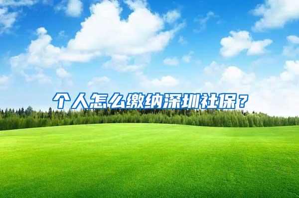 个人怎么缴纳深圳社保？