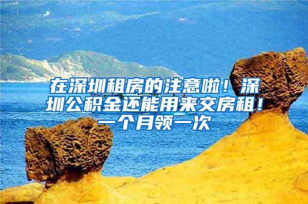 在深圳租房的注意啦！深圳公积金还能用来交房租！一个月领一次