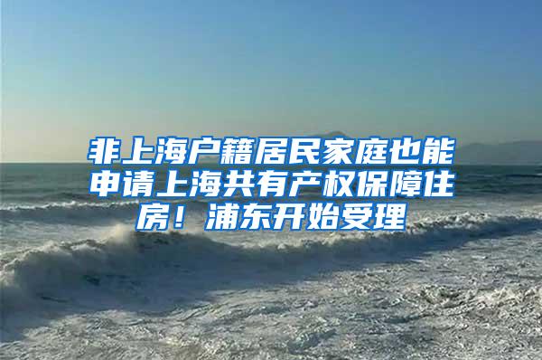 非上海户籍居民家庭也能申请上海共有产权保障住房！浦东开始受理