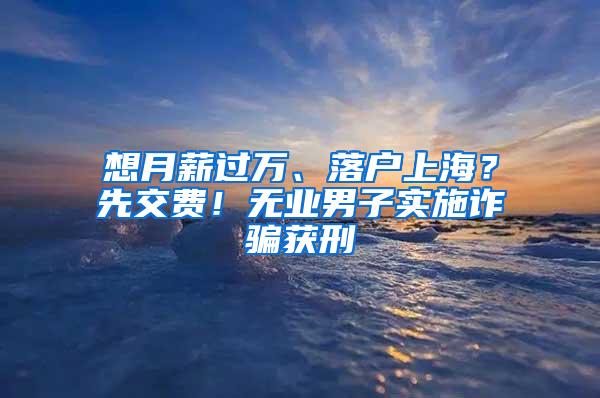 想月薪过万、落户上海？先交费！无业男子实施诈骗获刑