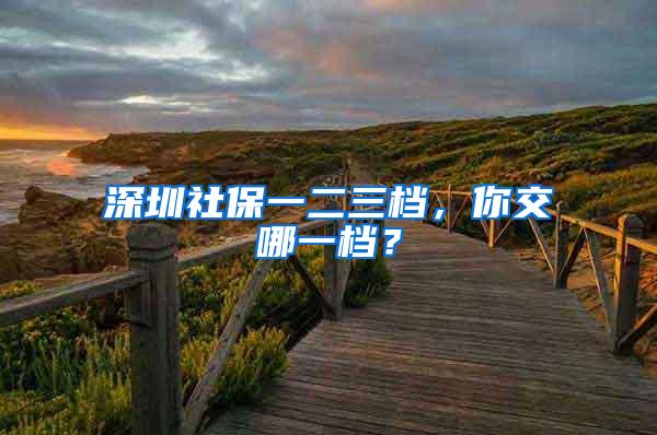 深圳社保一二三档，你交哪一档？