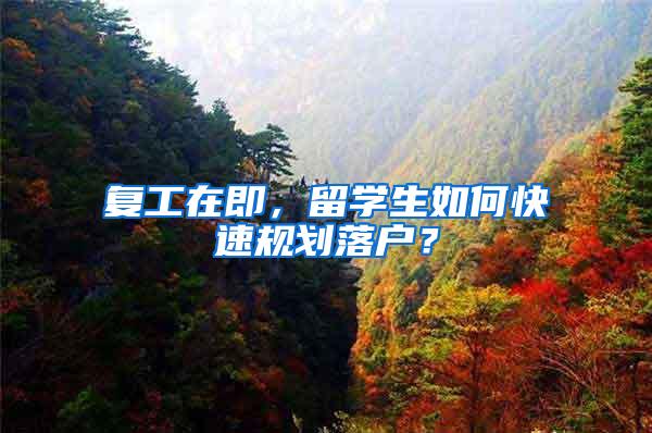 复工在即，留学生如何快速规划落户？