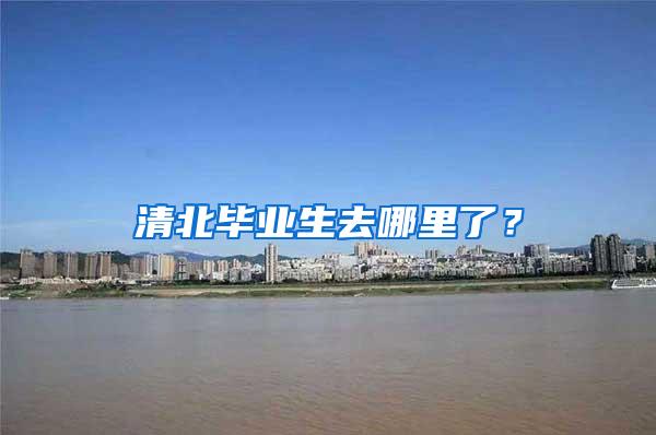 清北毕业生去哪里了？
