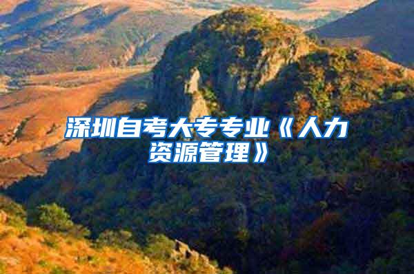 深圳自考大专专业《人力资源管理》