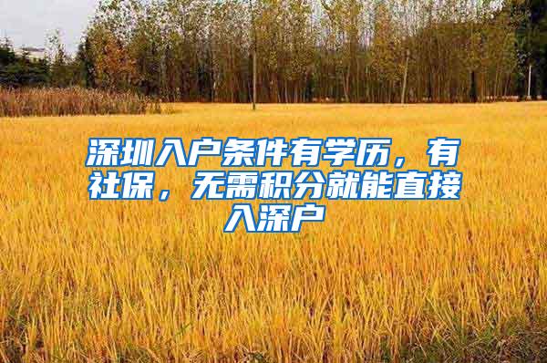 深圳入户条件有学历，有社保，无需积分就能直接入深户