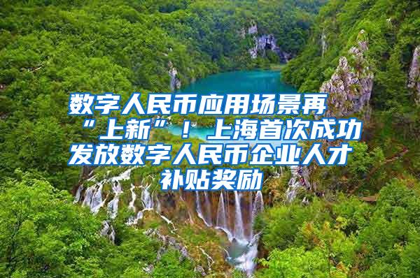 数字人民币应用场景再“上新”！上海首次成功发放数字人民币企业人才补贴奖励