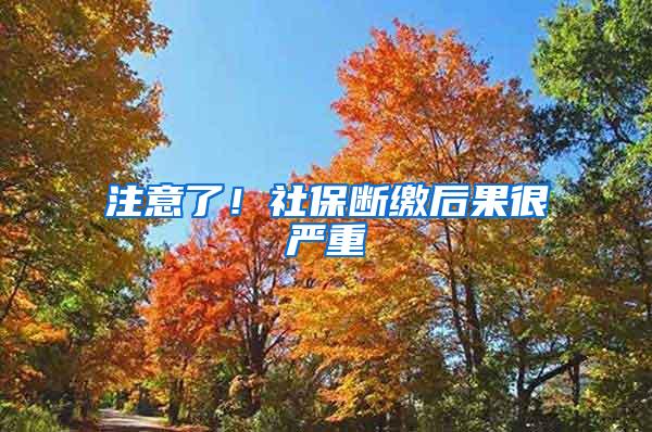 注意了！社保断缴后果很严重