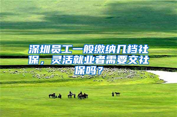 深圳员工一般缴纳几档社保，灵活就业者需要交社保吗？