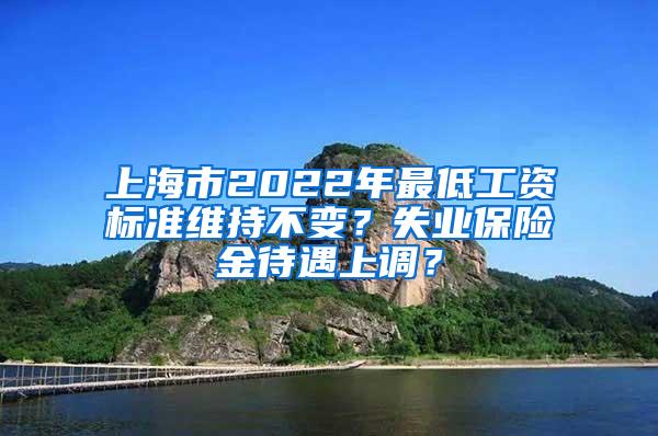 上海市2022年最低工资标准维持不变？失业保险金待遇上调？
