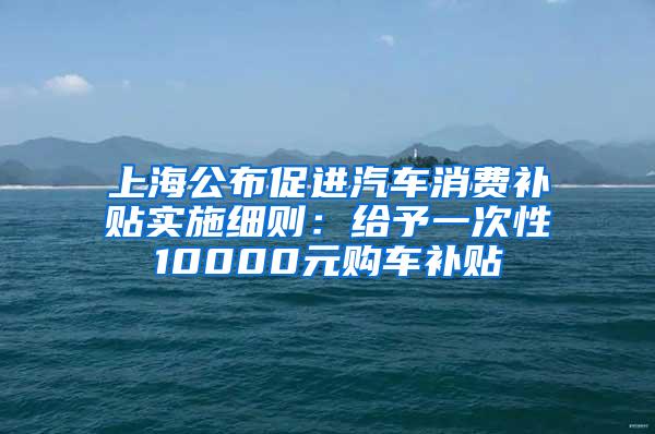 上海公布促进汽车消费补贴实施细则：给予一次性10000元购车补贴