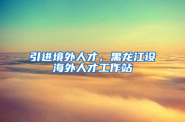 引进境外人才，黑龙江设海外人才工作站
