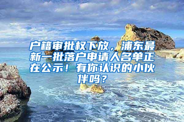 户籍审批权下放，浦东最新一批落户申请人名单正在公示！有你认识的小伙伴吗？