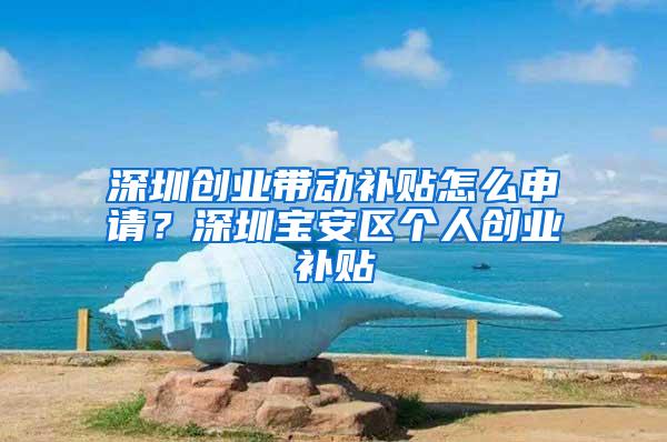 深圳创业带动补贴怎么申请？深圳宝安区个人创业补贴