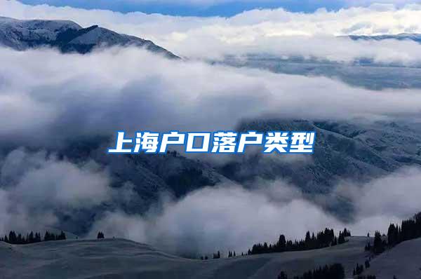 上海户口落户类型