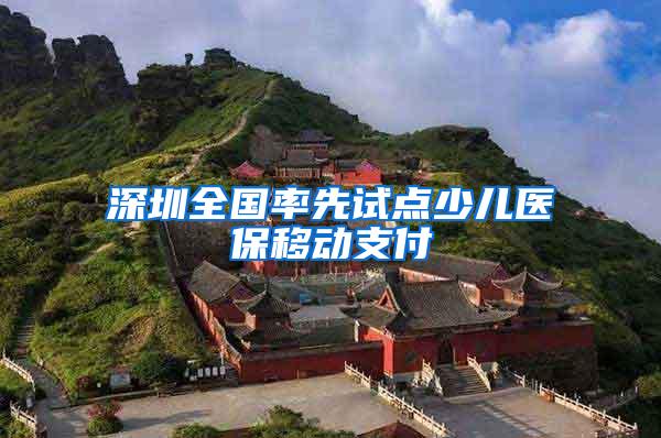 深圳全国率先试点少儿医保移动支付