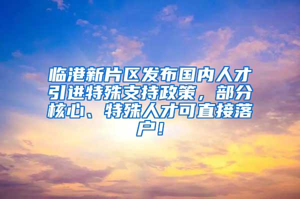 临港新片区发布国内人才引进特殊支持政策，部分核心、特殊人才可直接落户！