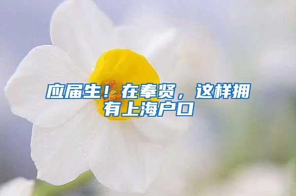 应届生！在奉贤，这样拥有上海户口