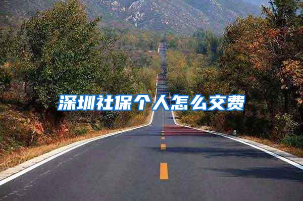 深圳社保个人怎么交费
