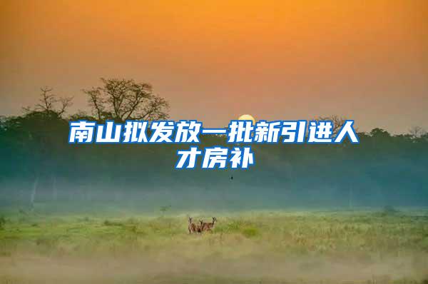 南山拟发放一批新引进人才房补