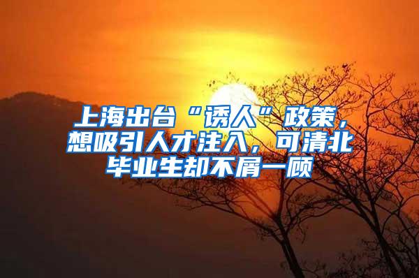上海出台“诱人”政策，想吸引人才注入，可清北毕业生却不屑一顾