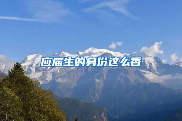 应届生的身份这么香