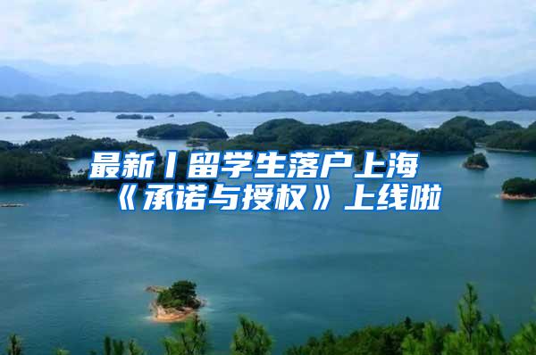 最新丨留学生落户上海《承诺与授权》上线啦