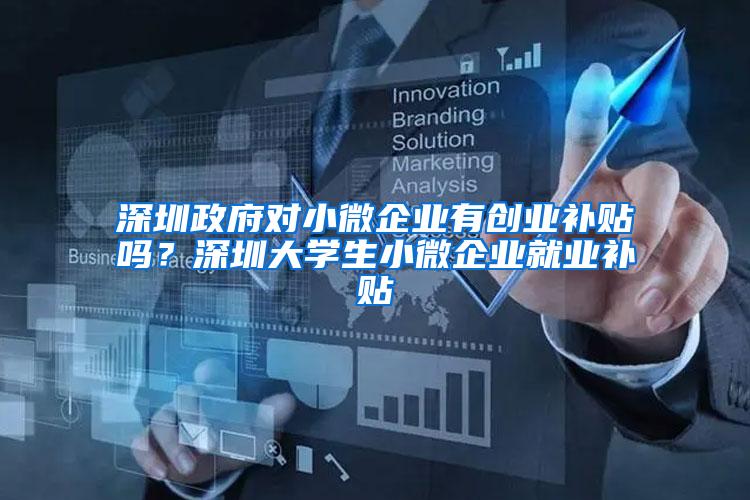 深圳政府对小微企业有创业补贴吗？深圳大学生小微企业就业补贴