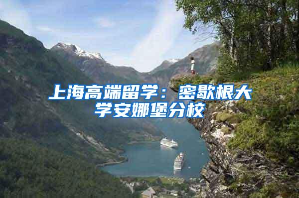 上海高端留学：密歇根大学安娜堡分校