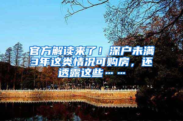 官方解读来了！深户未满3年这类情况可购房，还透露这些……