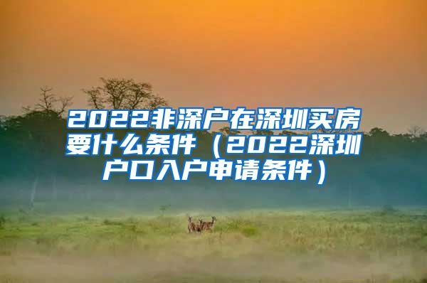 2022非深户在深圳买房要什么条件（2022深圳户口入户申请条件）
