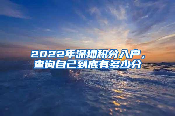 2022年深圳积分入户，查询自己到底有多少分