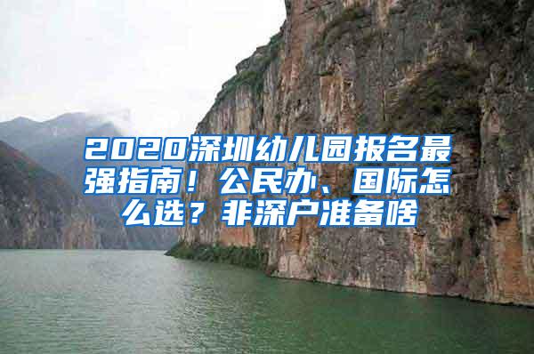 2020深圳幼儿园报名最强指南！公民办、国际怎么选？非深户准备啥
