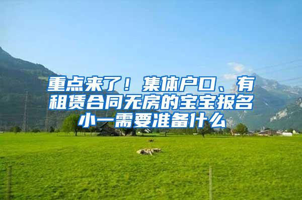 重点来了！集体户口、有租赁合同无房的宝宝报名小一需要准备什么