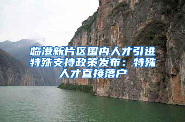 临港新片区国内人才引进特殊支持政策发布：特殊人才直接落户