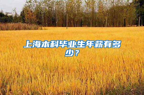 上海本科毕业生年薪有多少？
