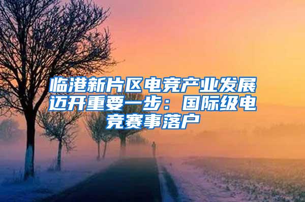 临港新片区电竞产业发展迈开重要一步：国际级电竞赛事落户
