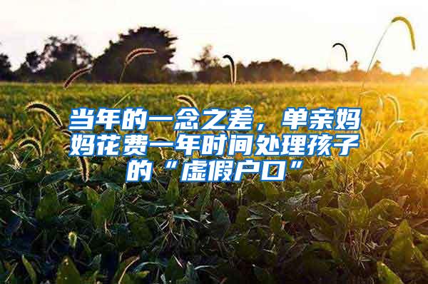 当年的一念之差，单亲妈妈花费一年时间处理孩子的“虚假户口”