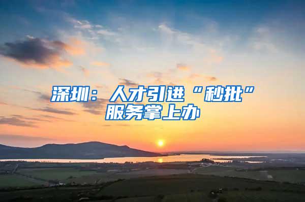 深圳：人才引进“秒批”服务掌上办
