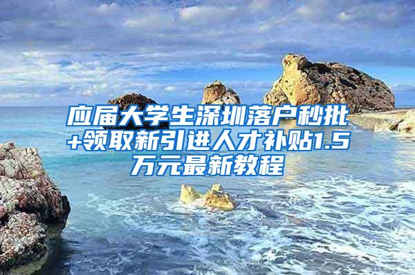 应届大学生深圳落户秒批+领取新引进人才补贴1.5万元最新教程