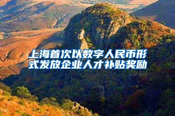 上海首次以数字人民币形式发放企业人才补贴奖励