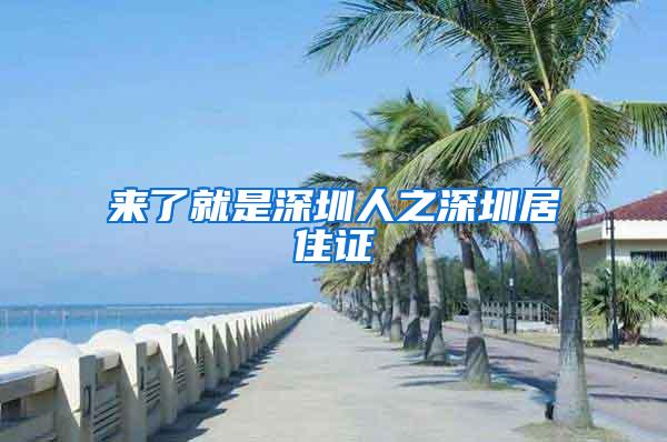 来了就是深圳人之深圳居住证