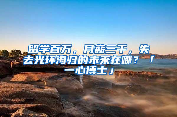 留学百万，月薪三千，失去光环海归的未来在哪？「一心博士」