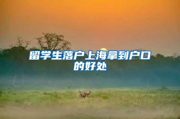 留学生落户上海拿到户口的好处