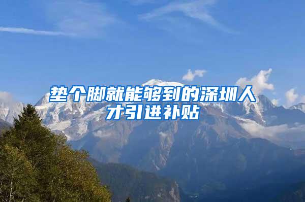 垫个脚就能够到的深圳人才引进补贴