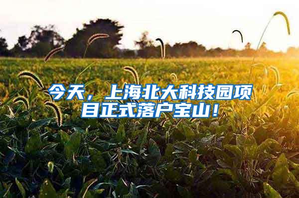 今天，上海北大科技园项目正式落户宝山！