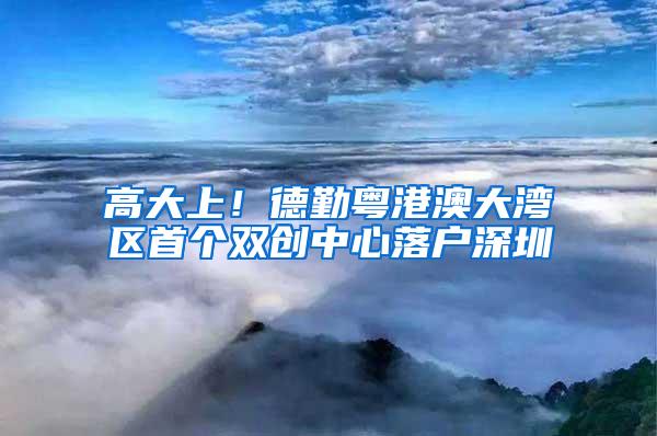 高大上！德勤粤港澳大湾区首个双创中心落户深圳