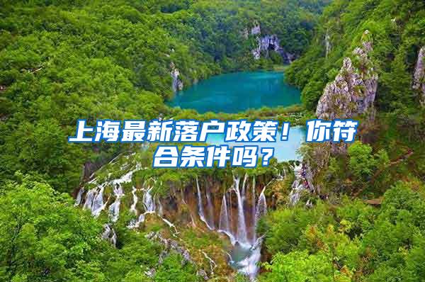 上海最新落户政策！你符合条件吗？