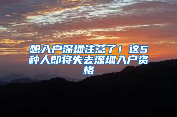 想入户深圳注意了！这5种人即将失去深圳入户资格