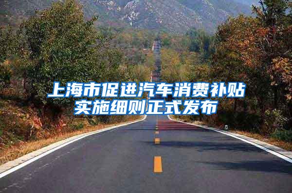 上海市促进汽车消费补贴实施细则正式发布